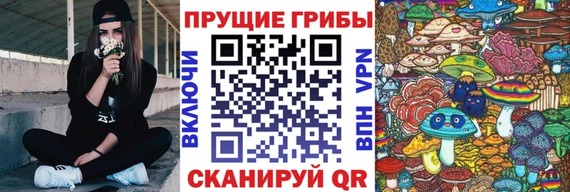Псилоцибиновые грибы Psilocybe  кракен вход  Миасс  магазин   