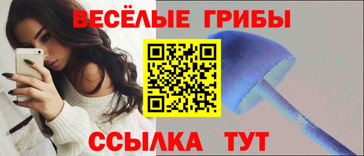Псилоцибиновые грибы Psilocybine cubensis  Вход с VPN  цена   Миасс 
